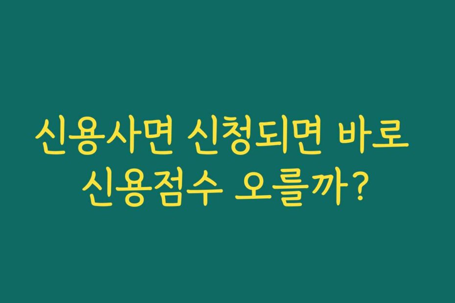 신용사면 신청되면 바로 신용점수 오를까?
