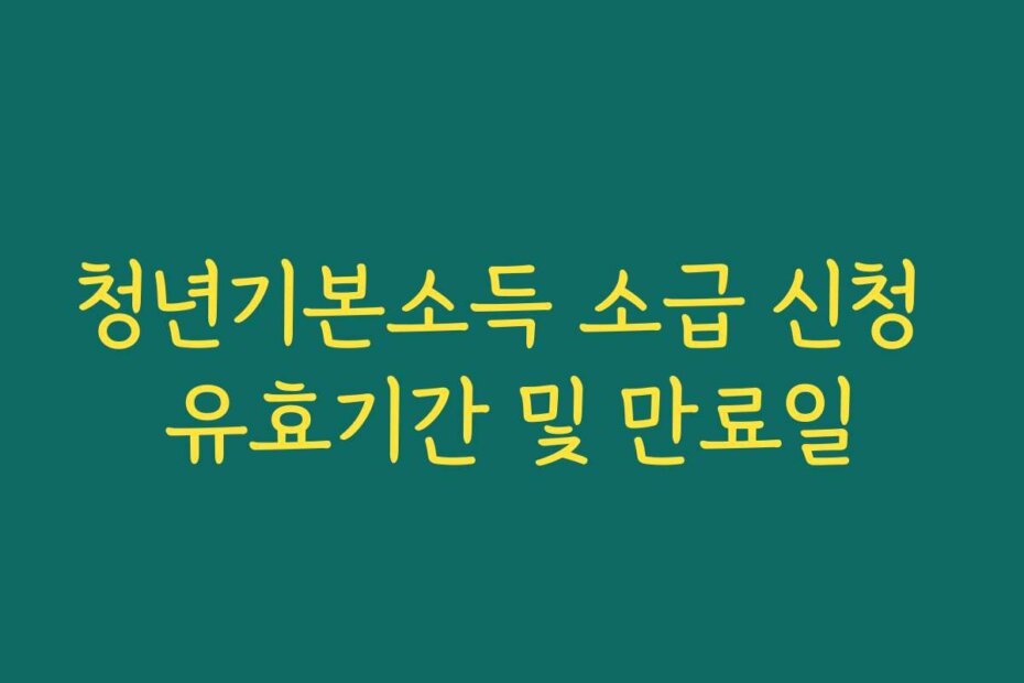 청년기본소득 소급 신청 유효기간 및 만료일