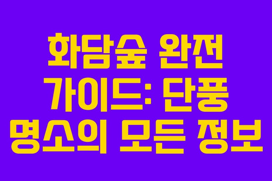 화담숲 완전 가이드: 단풍 명소의 모든 정보