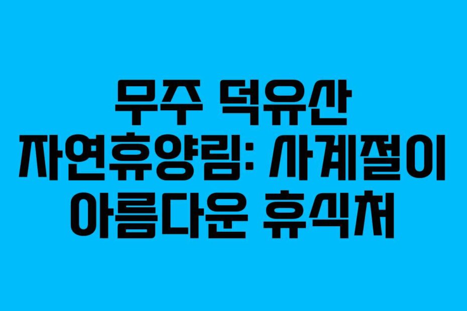 무주 덕유산 자연휴양림: 사계절이 아름다운 휴식처