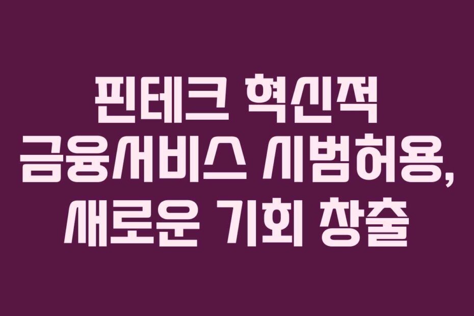핀테크 혁신적 금융서비스 시범허용, 새로운 기회 창출