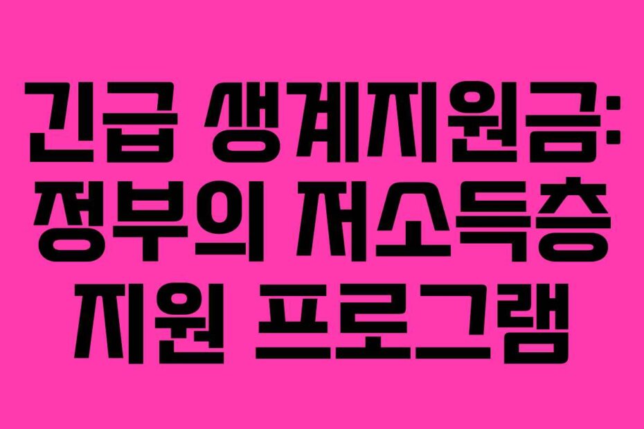 긴급 생계지원금: 정부의 저소득층 지원 프로그램
