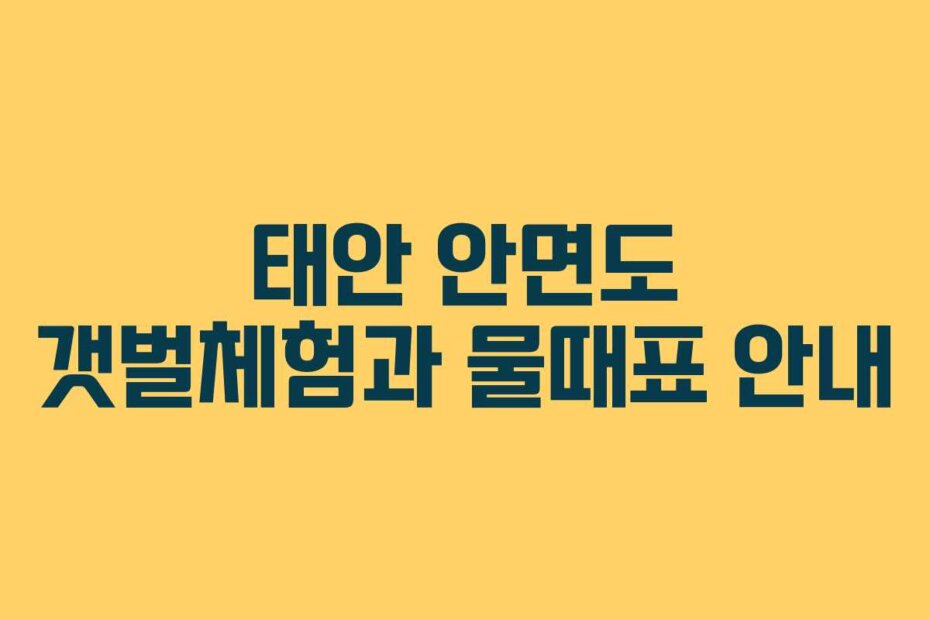 태안 안면도 갯벌체험과 물때표 안내
