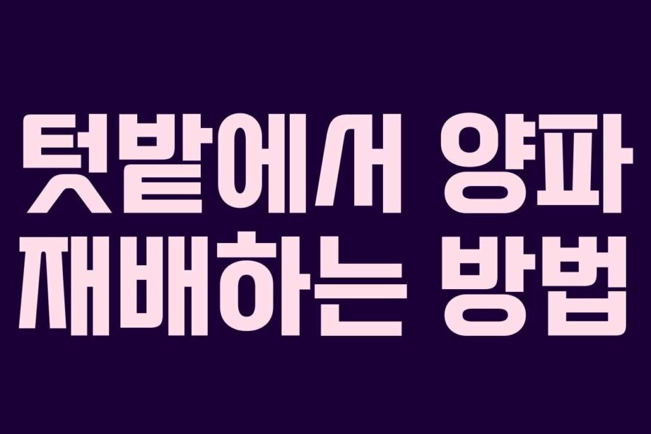 텃밭에서 양파 재배하는 방법