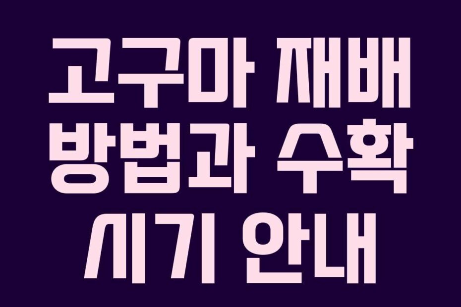 고구마 재배 방법과 수확 시기 안내