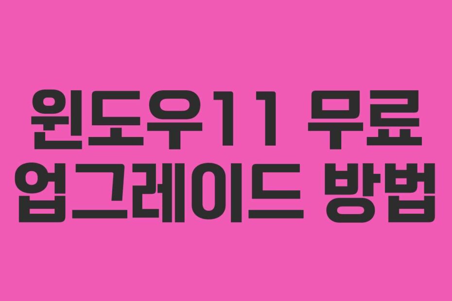 윈도우11 무료 업그레이드 방법