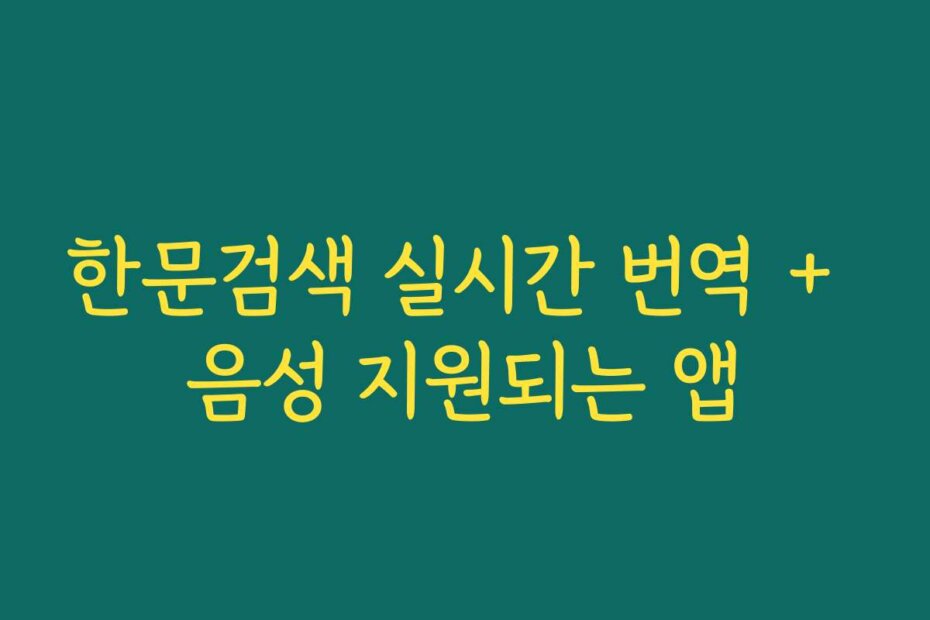 한문검색 실시간 번역 + 음성 지원되는 앱
