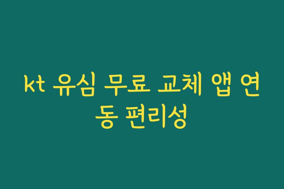 kt 유심 무료 교체 앱 연동 편리성