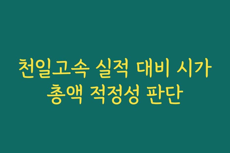 천일고속 실적 대비 시가총액 적정성 판단