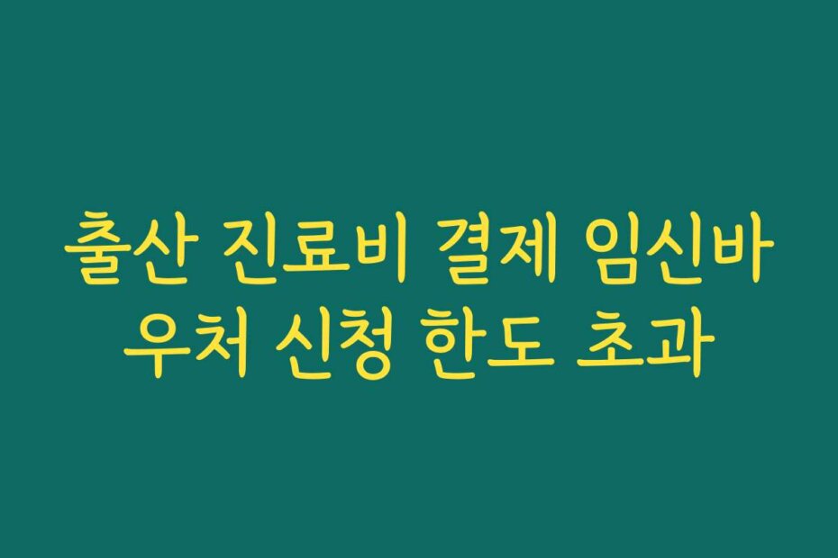 출산 진료비 결제 임신바우처 신청 한도 초과