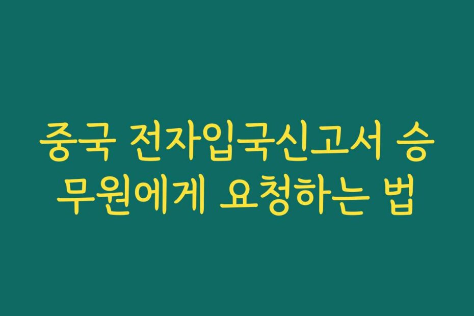 중국 전자입국신고서 승무원에게 요청하는 법