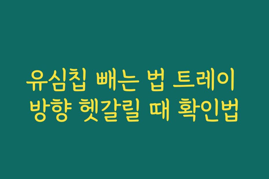 유심칩 빼는 법 트레이 방향 헷갈릴 때 확인법