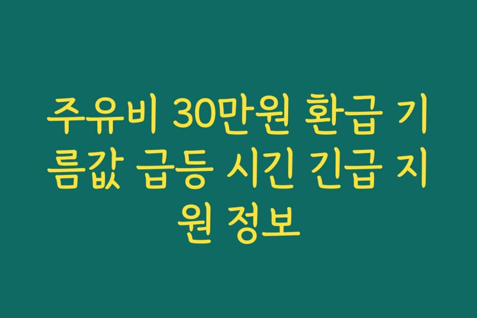 주유비 30만원 환급 기름값 급등 시긴 긴급 지원 정보