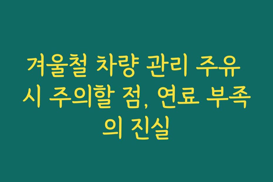 겨울철 차량 관리 주유 시 주의할 점, 연료 부족의 진실