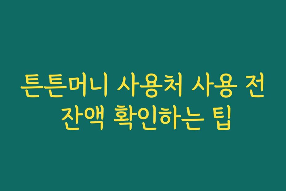 튼튼머니 사용처 사용 전 잔액 확인하는 팁