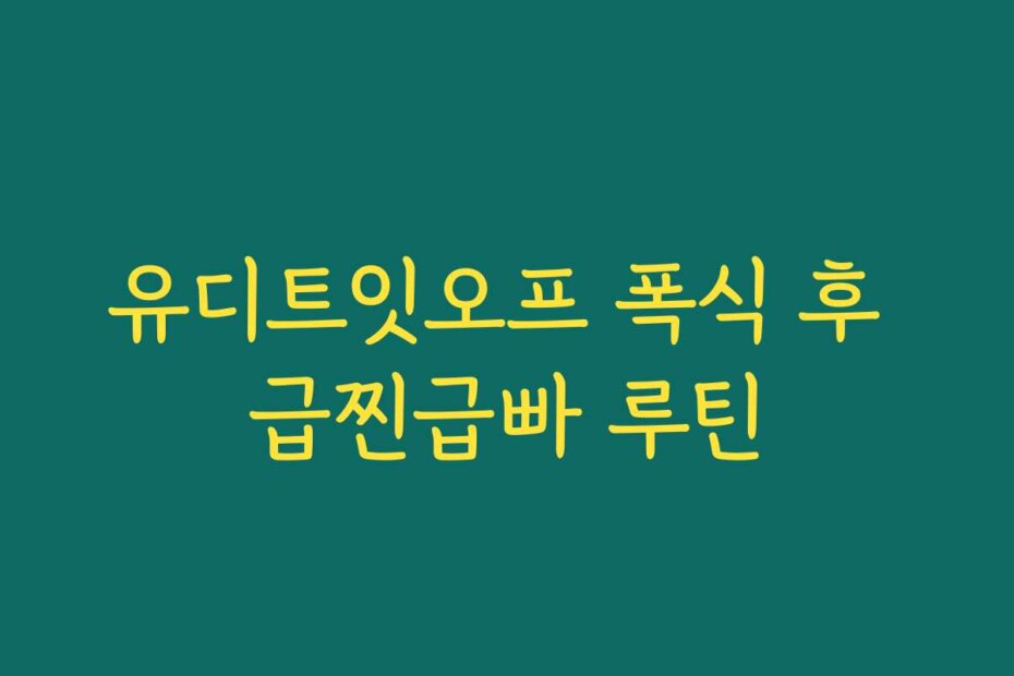 유디트잇오프 폭식 후 급찐급빠 루틴
