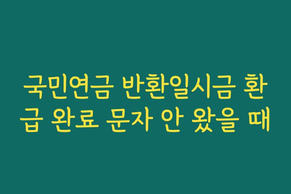 국민연금 반환일시금 환급 완료 문자 안 왔을 때