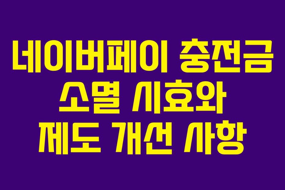 네이버페이 충전금 소멸 시효와 제도 개선 사항
