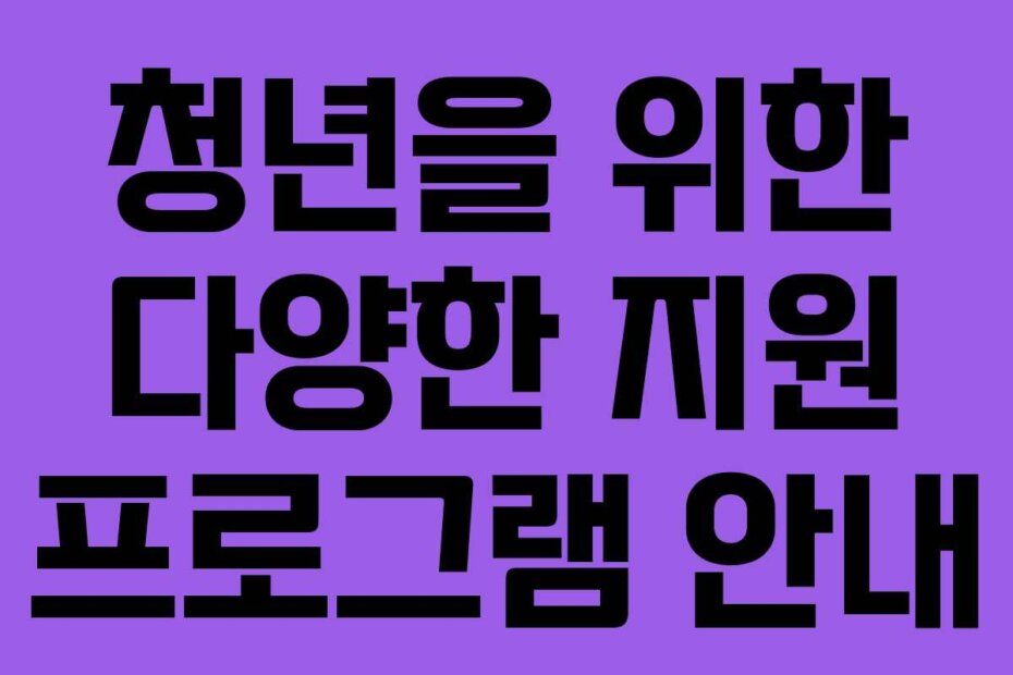 청년을 위한 다양한 지원 프로그램 안내