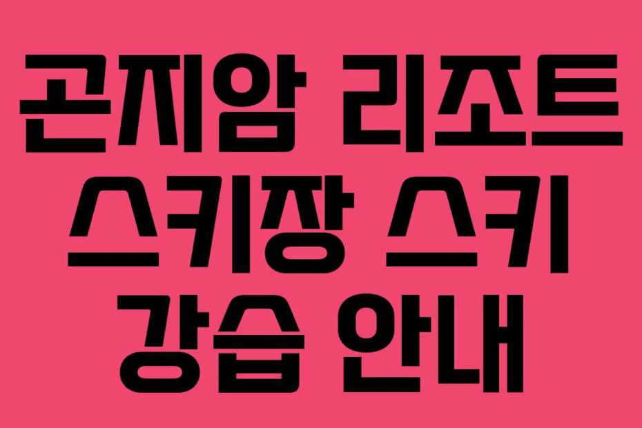 곤지암 리조트 스키장 스키 강습 안내