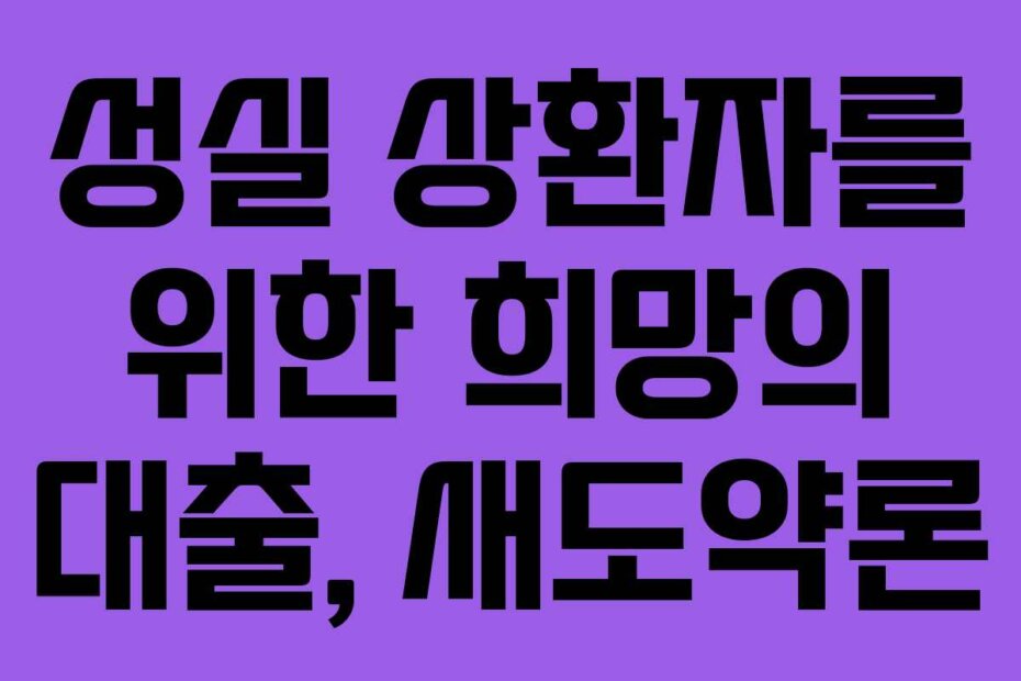 성실 상환자를 위한 희망의 대출, 새도약론