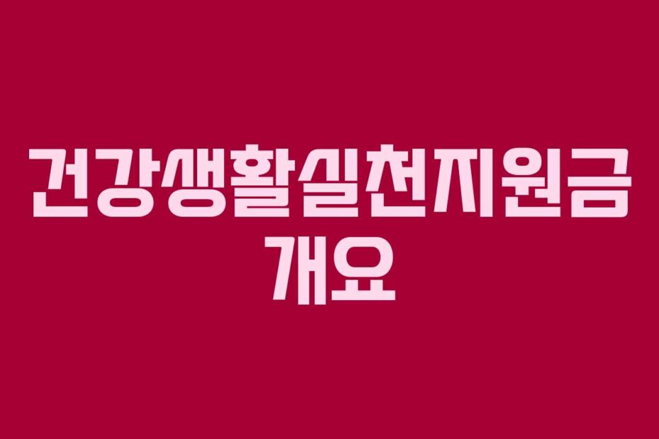 건강생활실천지원금 개요