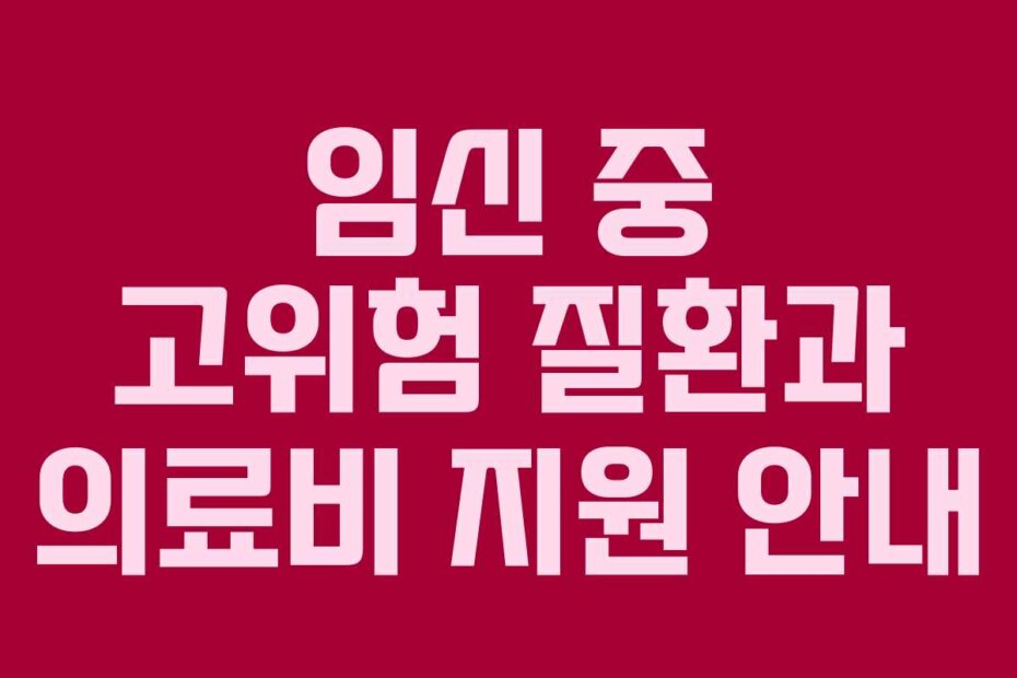 임신 중 고위험 질환과 의료비 지원 안내