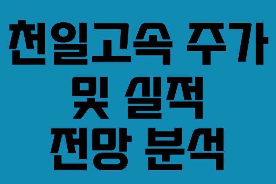 천일고속 주가 및 실적 전망 분석