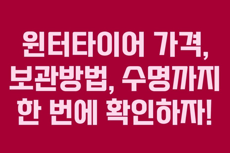 윈터타이어 가격, 보관방법, 수명까지 한 번에 확인하자!
