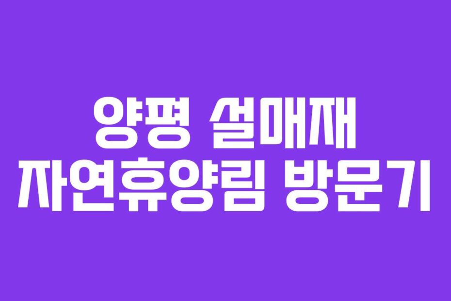 양평 설매재 자연휴양림 방문기