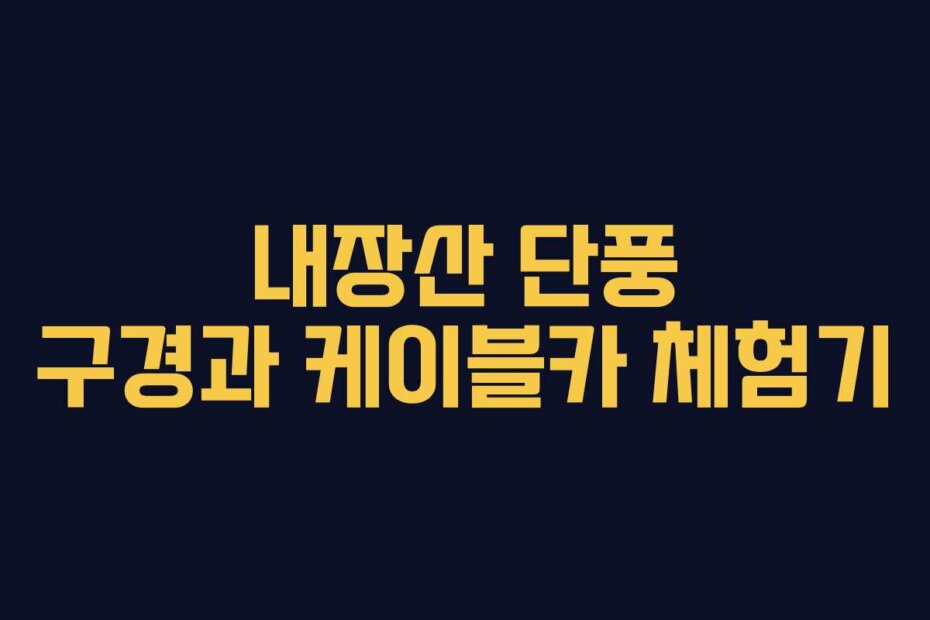 내장산 단풍 구경과 케이블카 체험기