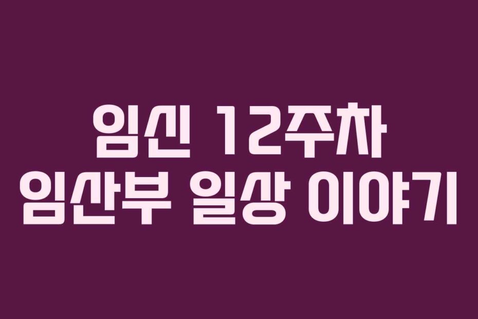 임신 12주차 임산부 일상 이야기