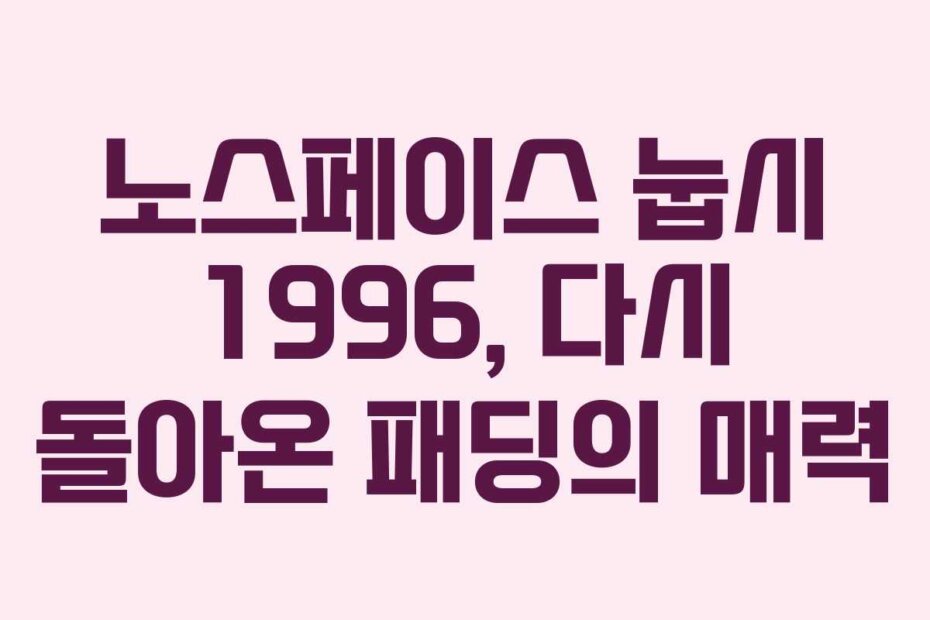 노스페이스 눕시 1996, 다시 돌아온 패딩의 매력
