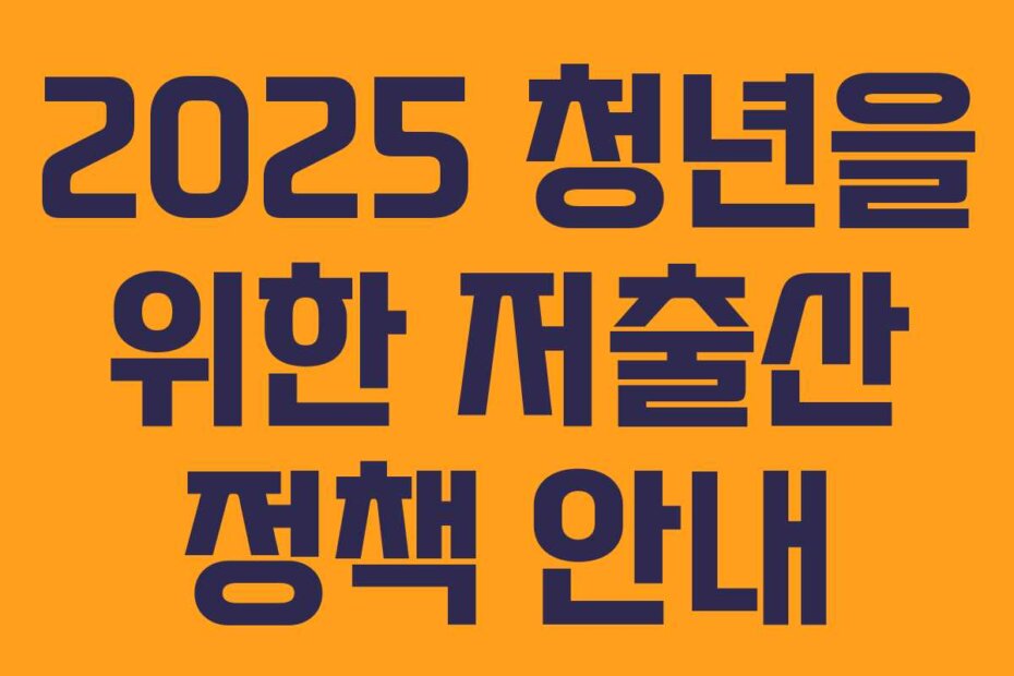 2025 청년을 위한 저출산 정책 안내