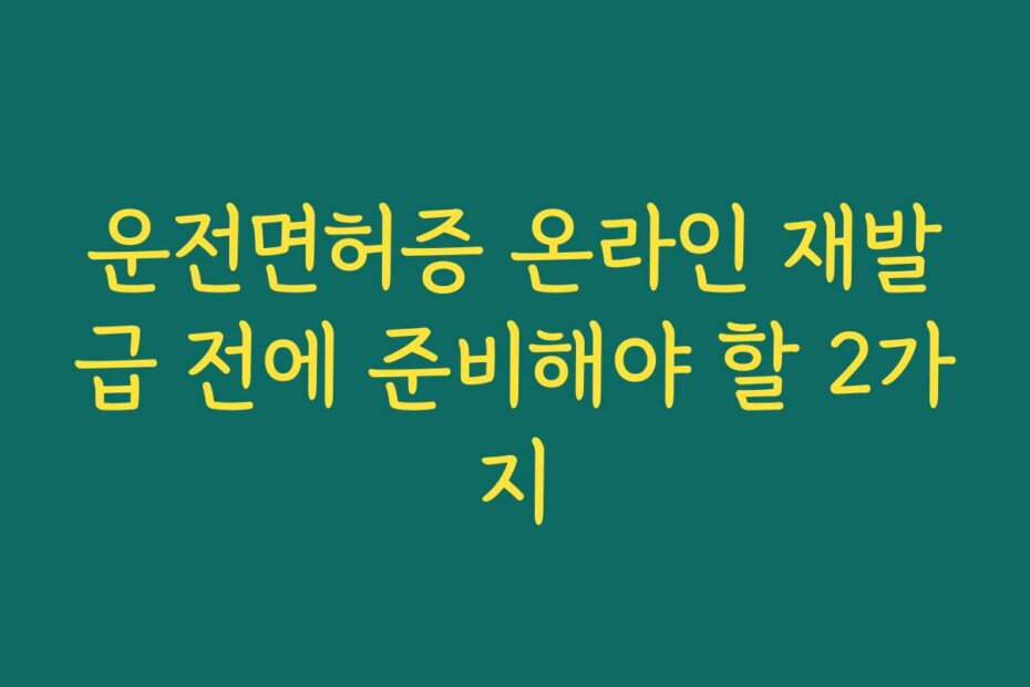 운전면허증 온라인 재발급 전에 준비해야 할 2가지