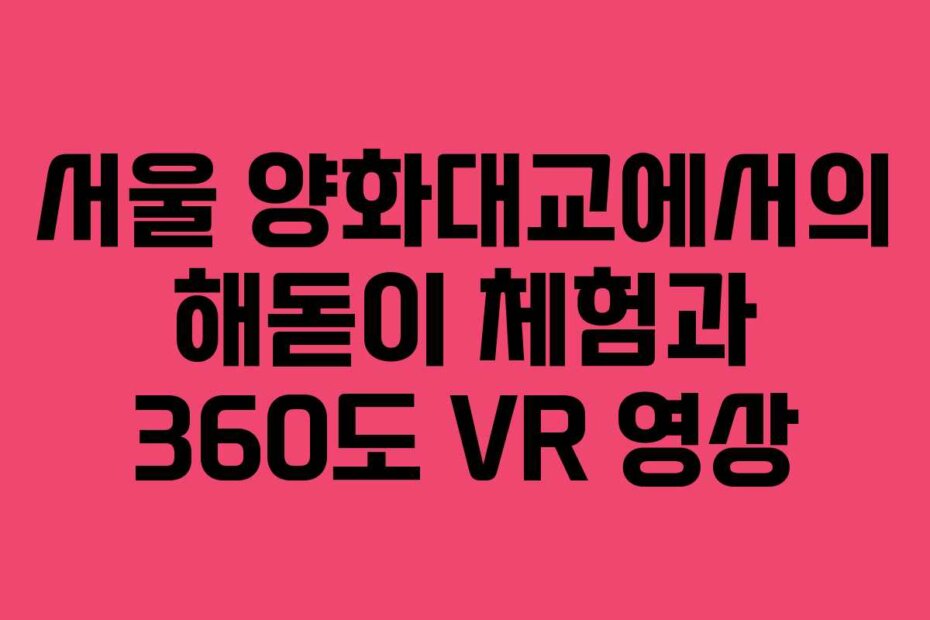 서울 양화대교에서의 해돋이 체험과 360도 VR 영상