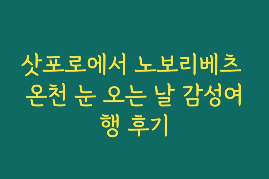 삿포로에서 노보리베츠 온천 눈 오는 날 감성여행 후기