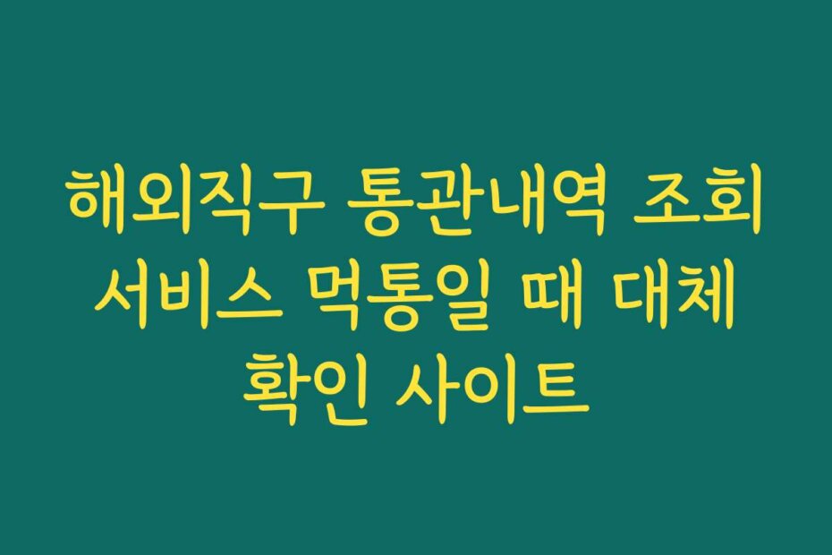 해외직구 통관내역 조회 서비스 먹통일 때 대체 확인 사이트