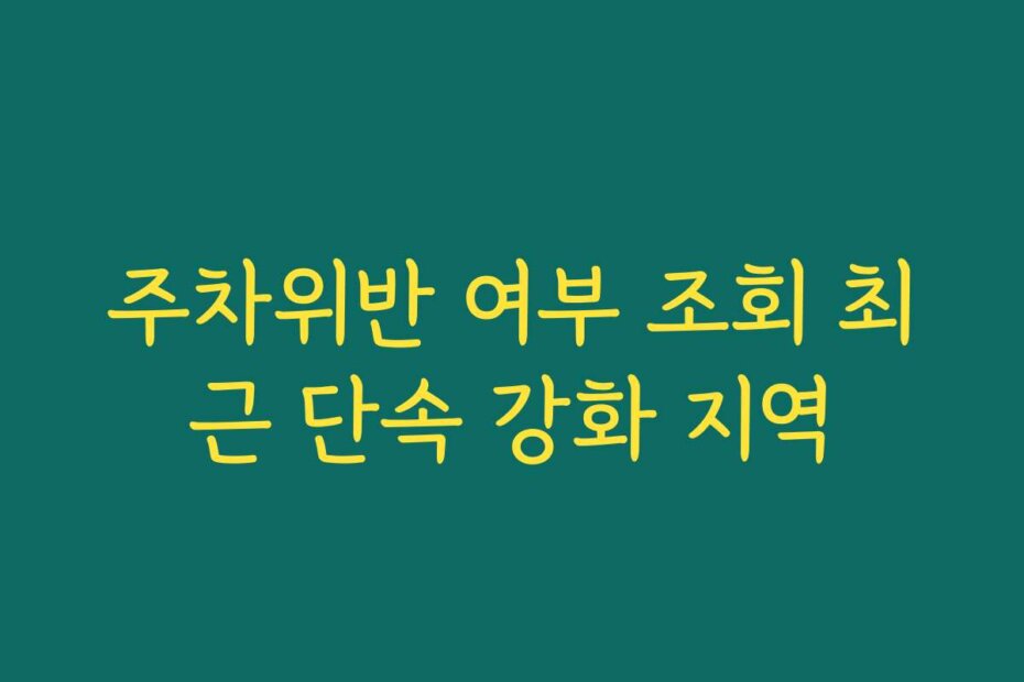 주차위반 여부 조회 최근 단속 강화 지역