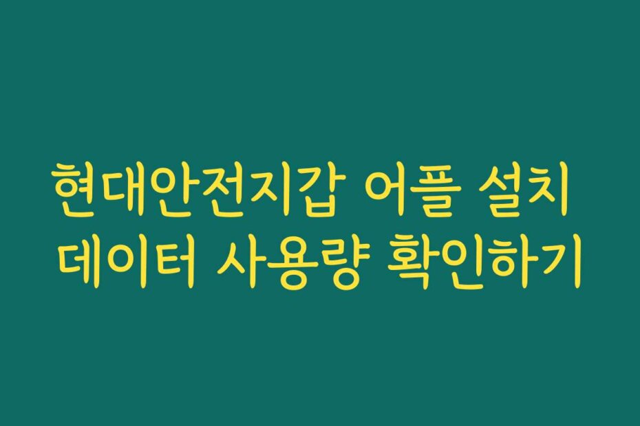 현대안전지갑 어플 설치 데이터 사용량 확인하기