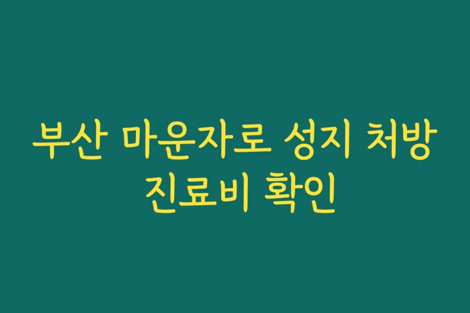 부산 마운자로 성지 처방 진료비 확인