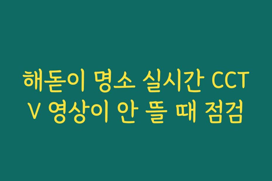 해돋이 명소 실시간 CCTV 영상이 안 뜰 때 점검