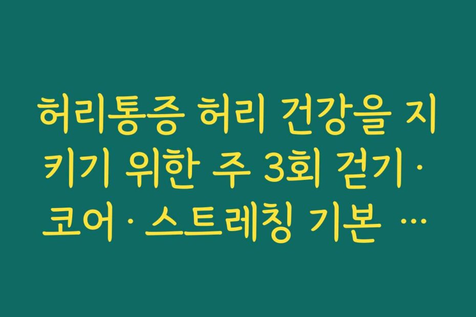 허리통증 허리 건강을 지키기 위한 주 3회 걷기·코어·스트레칭 기본 주간 루틴 만들기