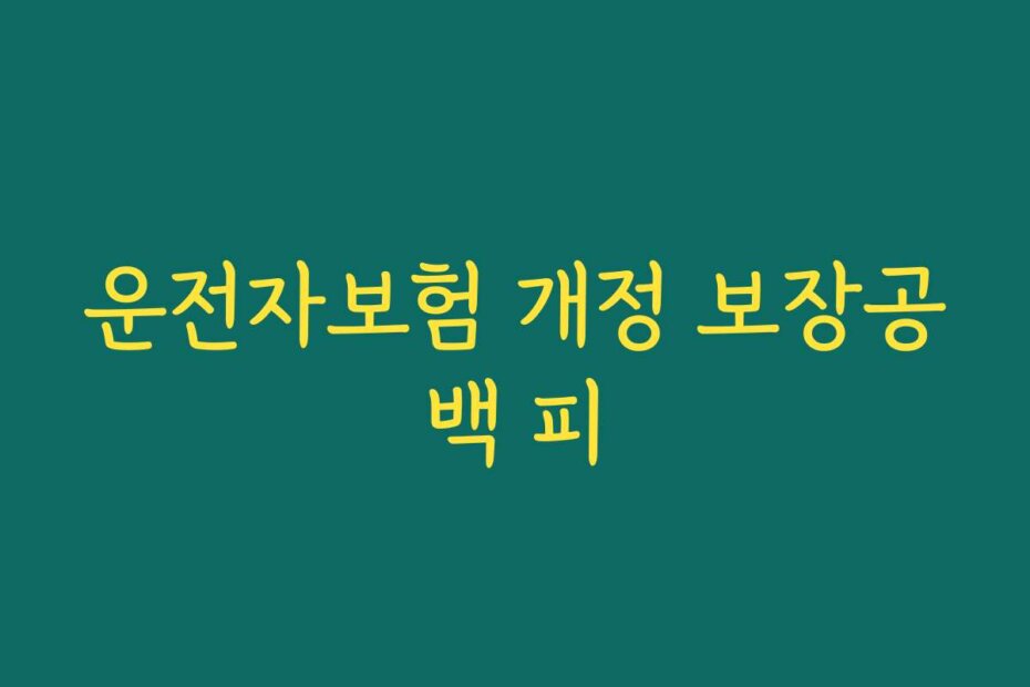 운전자보험 개정 보장공백 피