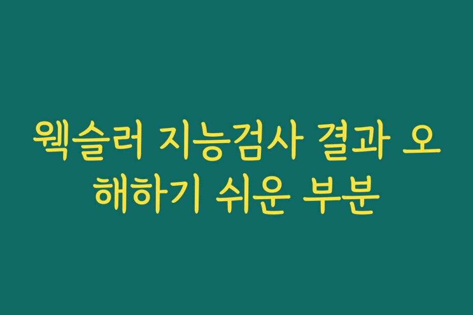 웩슬러 지능검사 결과 오해하기 쉬운 부분