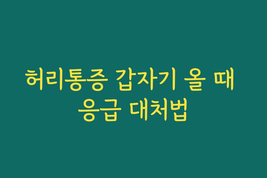 허리통증 갑자기 올 때 응급 대처법