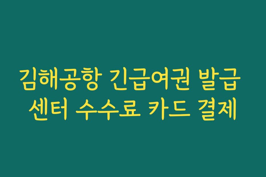 김해공항 긴급여권 발급 센터 수수료 카드 결제