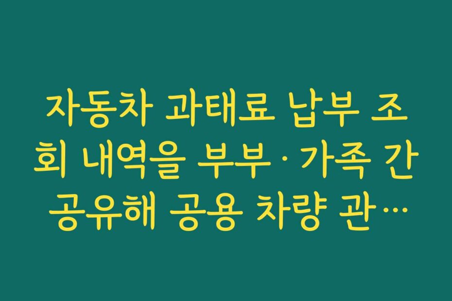 자동차 과태료 납부 조회 내역을 부부·가족 간 공유해 공용 차량 관리하는 방법
