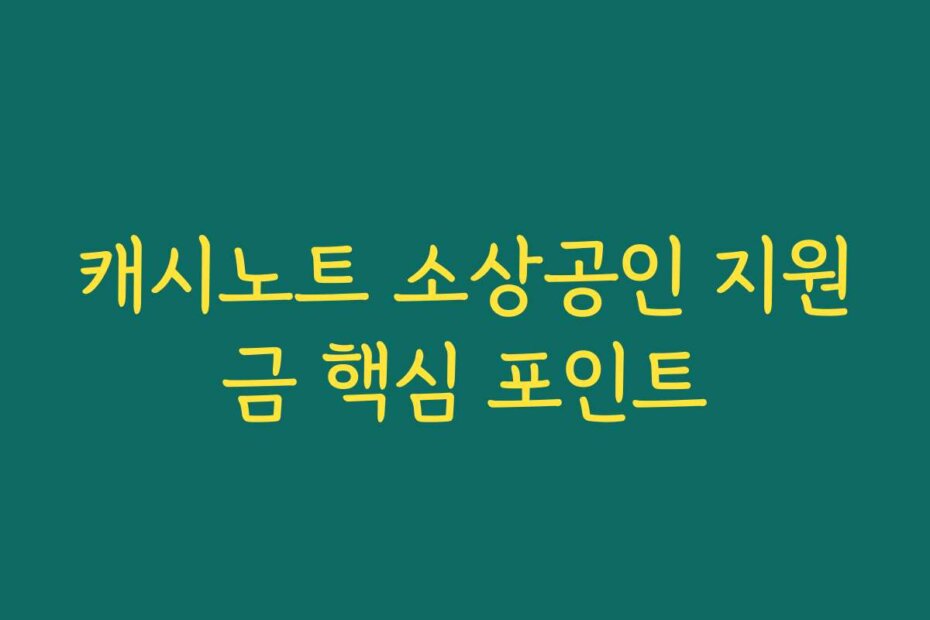 캐시노트 소상공인 지원금 핵심 포인트
