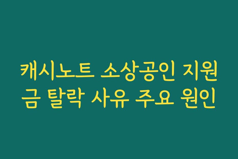 캐시노트 소상공인 지원금 탈락 사유 주요 원인